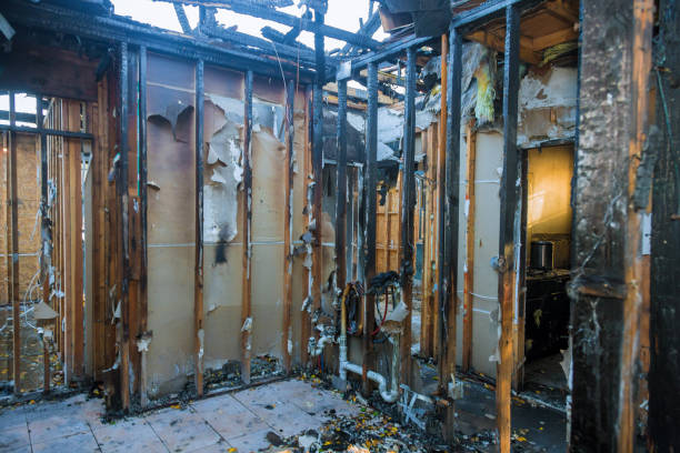 Professional Fire Damage Removal technician working in Lakeshire, MO